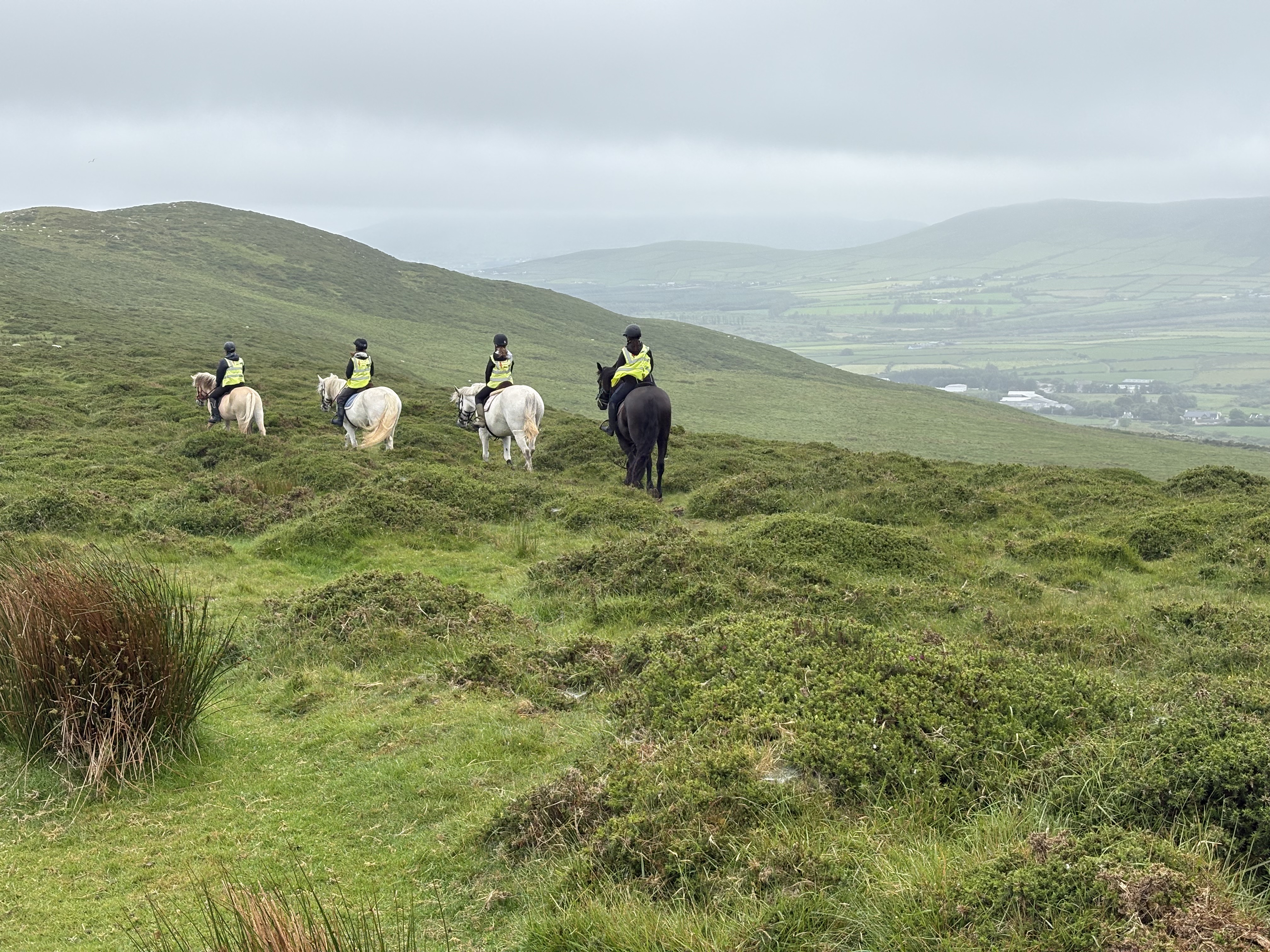 Gene Courtney, Part II